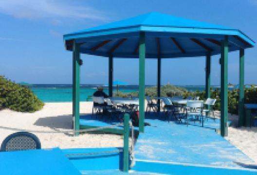 Loblolly Bay景点图片