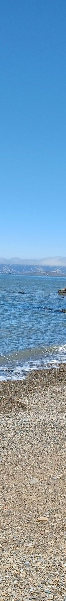 安琪儿岛-蒂伯龙