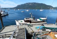 Cowichan Bay Maritime Centre景点图片