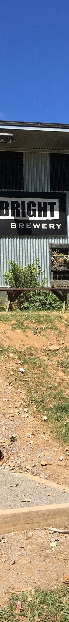 Bright Brewery-布莱特