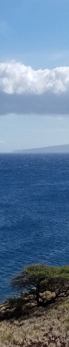 Papawai Scenic Lookout-茂宜县