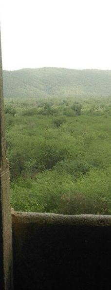 Ramgarh Vishdhari Wildlife Sanctuary-本迪