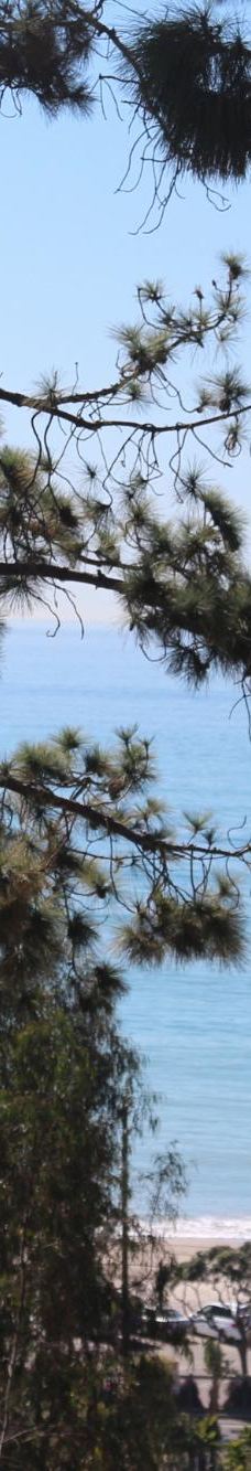 Pines Park-达纳点