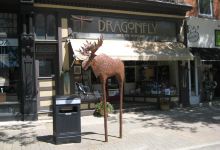 Dragonfly Arts On Broadway景点图片