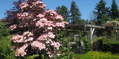 The Gardens on Anderton