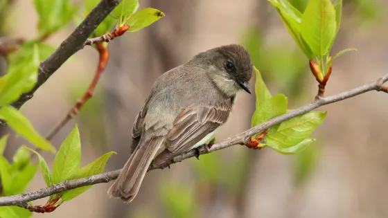 Assabet River National Wildlife Refuge