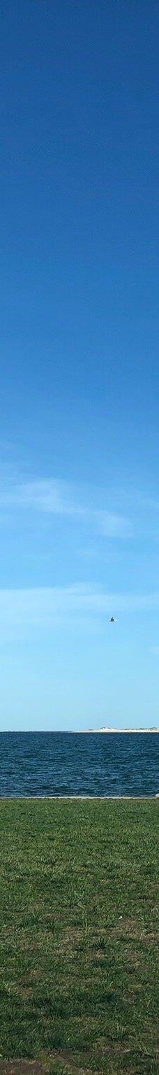 Nelson Memorial Park-普利茅斯