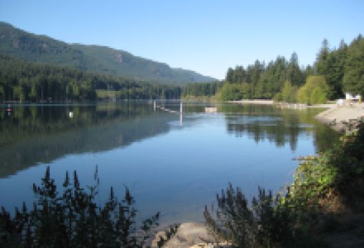 Westwood Lake Park景点图片