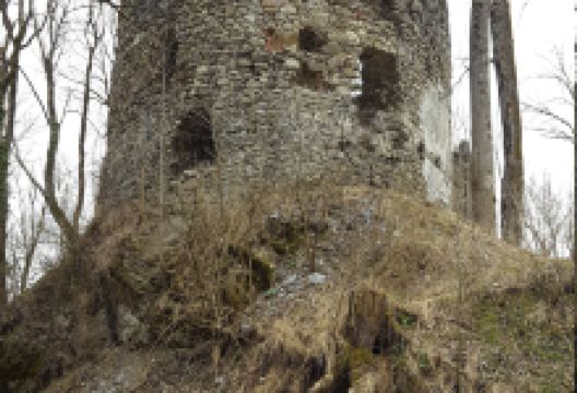 Burg Fluhenstein景点图片