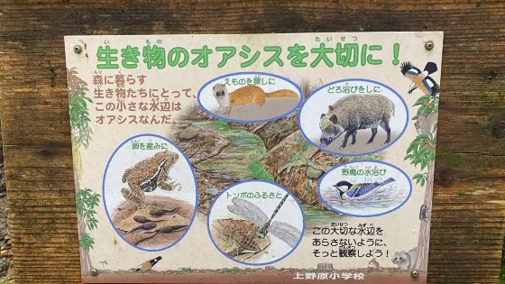 八重山五感の森