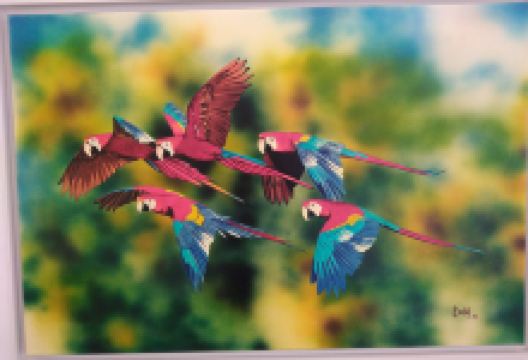 Museo de Arte Moderno de Bucaramanga景点图片