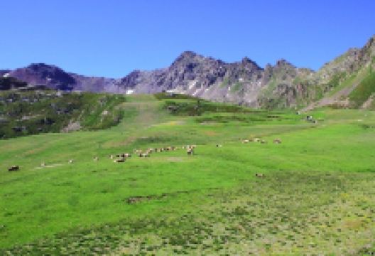 Coll d'Ordino景点图片