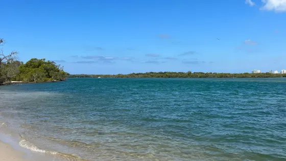Maroochy River Conservation Park