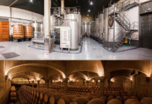 Bodegas Vina Ijalba S.A.景点图片