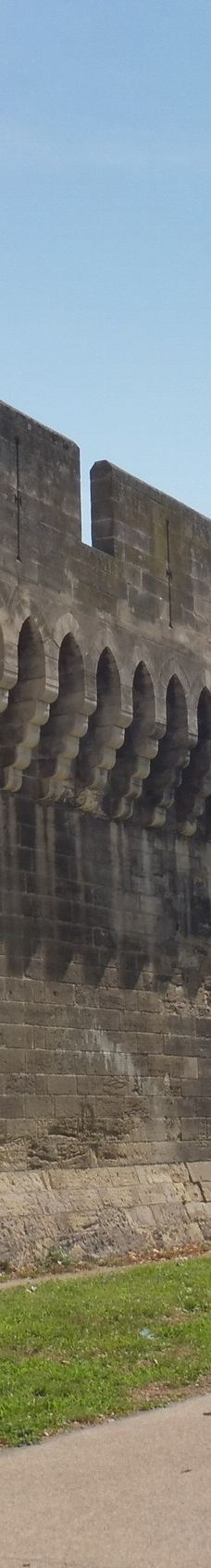 阿维尼翁城墙-阿维尼翁