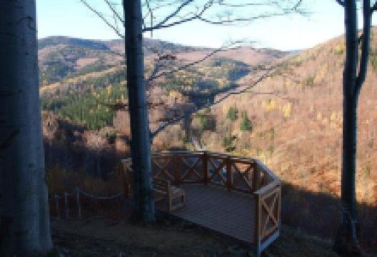 Punkt Widokowy Koci Grzbiet景点图片