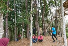 pasir sela景点图片