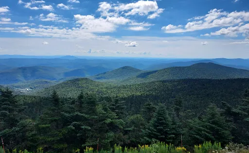 Gifford Woods State Park