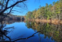 Fisherville Brook Wildlife Refute景点图片