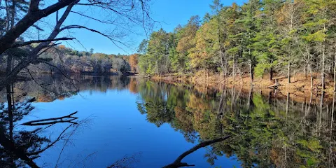 Fisherville Brook Wildlife Refute