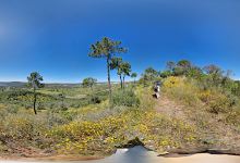 Mirador de Alonso景点图片
