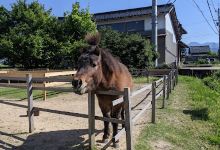 フラワーンダフル千華園购物图片