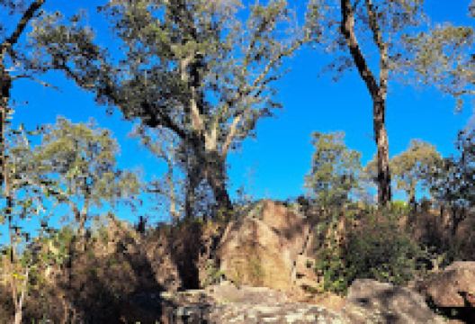 Dolmen del Querafumat景点图片