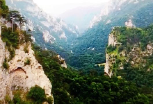 Perućica Primeval Forest景点图片