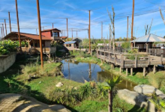 鹦鹉世界- 沉浸式动物公园景点图片