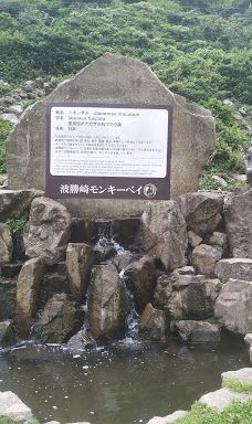 Hagachizaki Monkey Bay-南伊豆町