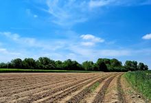 Brouhire-d'Emael景点图片