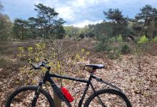 MTB Hardenberg景点图片
