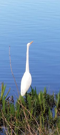 Waverly Park Parking-奥尔巴尼