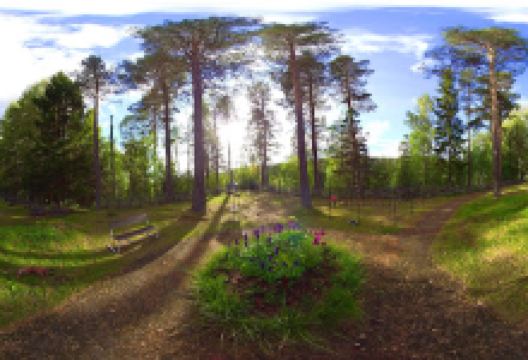 Viksjö kyrka景点图片