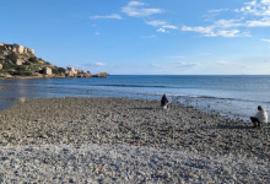 İskele Kalecik Halk Plajı景点图片