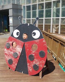 Asan Ecological Environment Insect Museum-牙山市