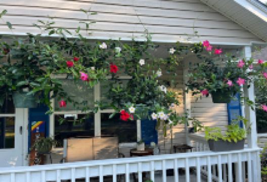Carolina Greens Garden Center购物图片