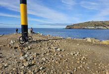 Aramoana Saltmarsh Walk景点图片