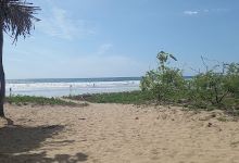 Nosara Kids Camp Tent景点图片