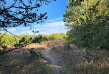 Wagon Train Dam-Site 8 Park景点图片