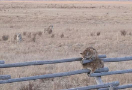 Frog Creek Wetlands景点图片