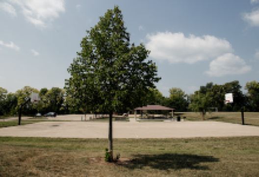 Lakebridge Park & Soccer Field景点图片