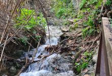 Old Stern - Nature River Trail景点图片