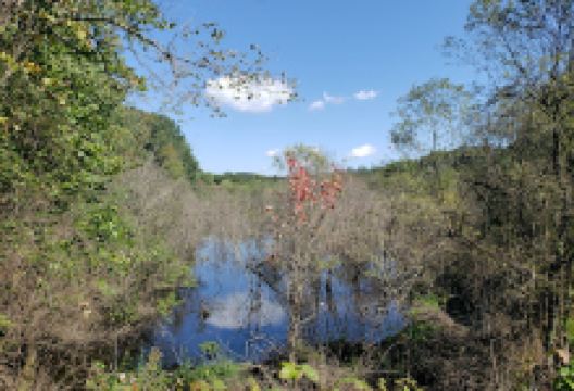 Trout Brook Valley Preserve景点图片