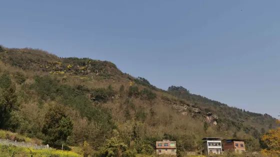李木林