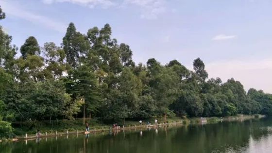 洪湖公園