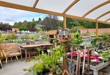 Woodside Plant Centre & Birdhouse Tearoom购物图片