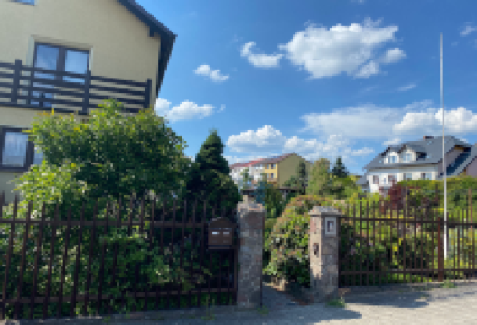 Clematis. Szkółka drzew i krzewów owocowych i ozdobnych购物图片