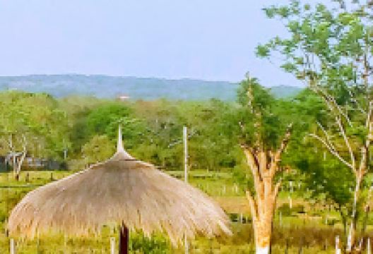 Comisaría de Isla Pucú景点图片