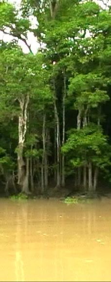 京那巴当岸河-基纳巴唐岸